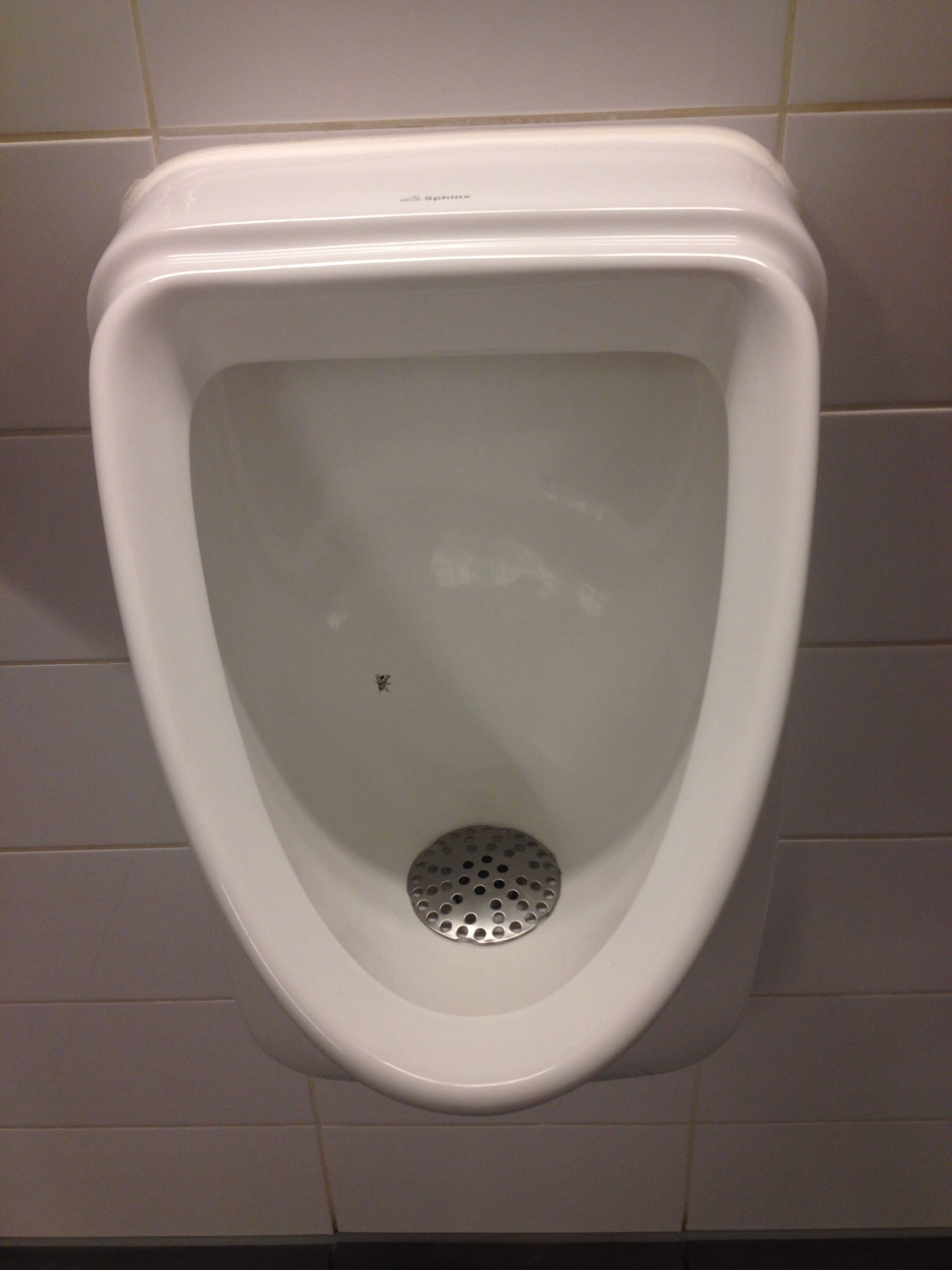 Urinal med flue på Aarhus Universitet